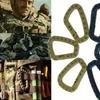 1Pc Durable Backpack Buckles, Carabiner Plastic Hooks, D Shape EDC Gear for Outdoor Camping