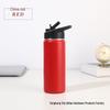 Portable Stainless Steel Insulated Water Bottle with Straw
