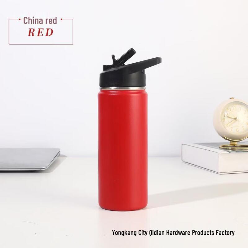 

Portable Stainless Steel Insulated Water Bottle with Straw