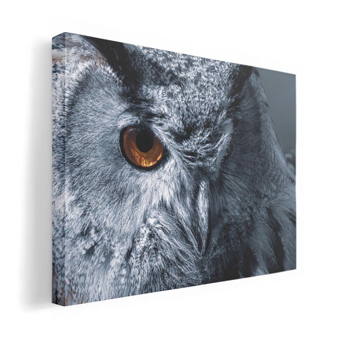 

Art 420mm x Wall Wooden Stylish Interior Animal Panel, Painting, Decoration, igsticker, 297mm, A3, Photo, Hanging, Frame, Decor, 025765, Owl, Bird,