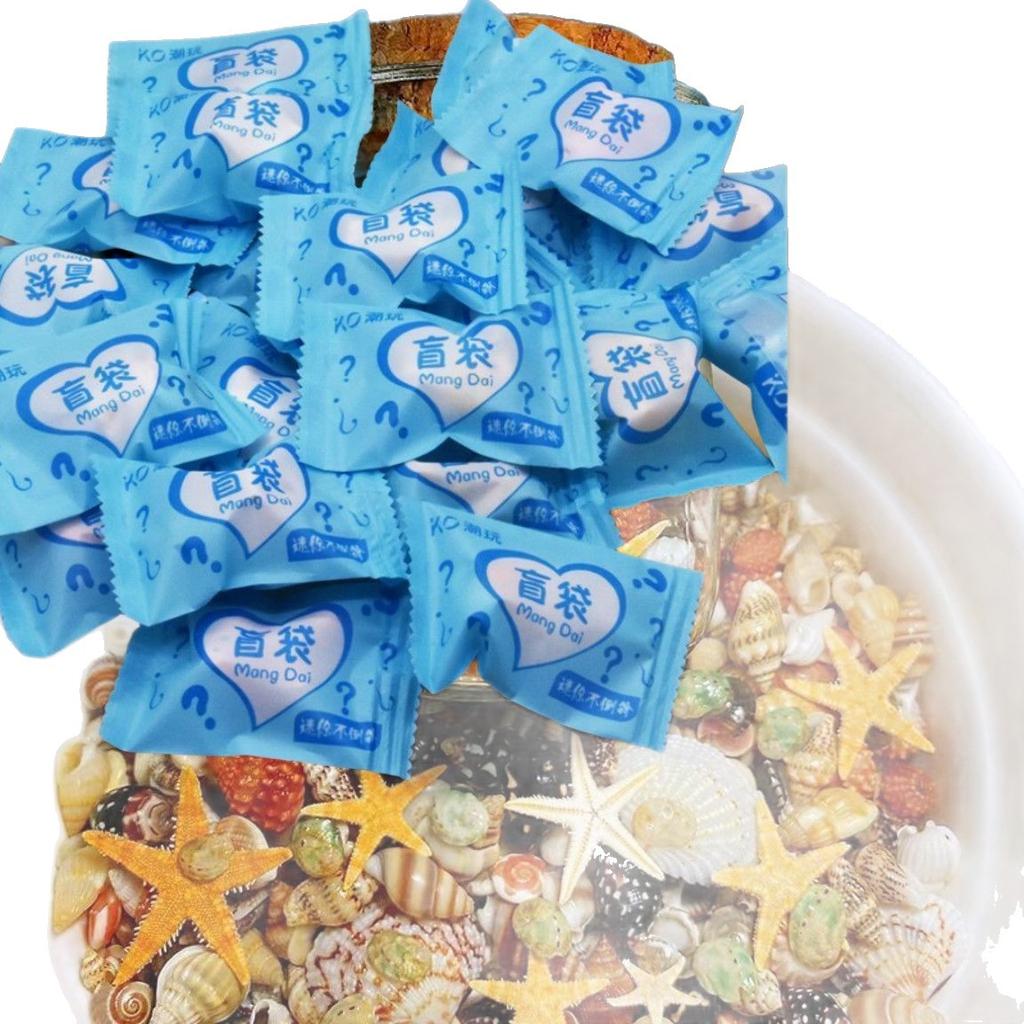 Natural Conch Blind Bag, Gift Ornament 10pc