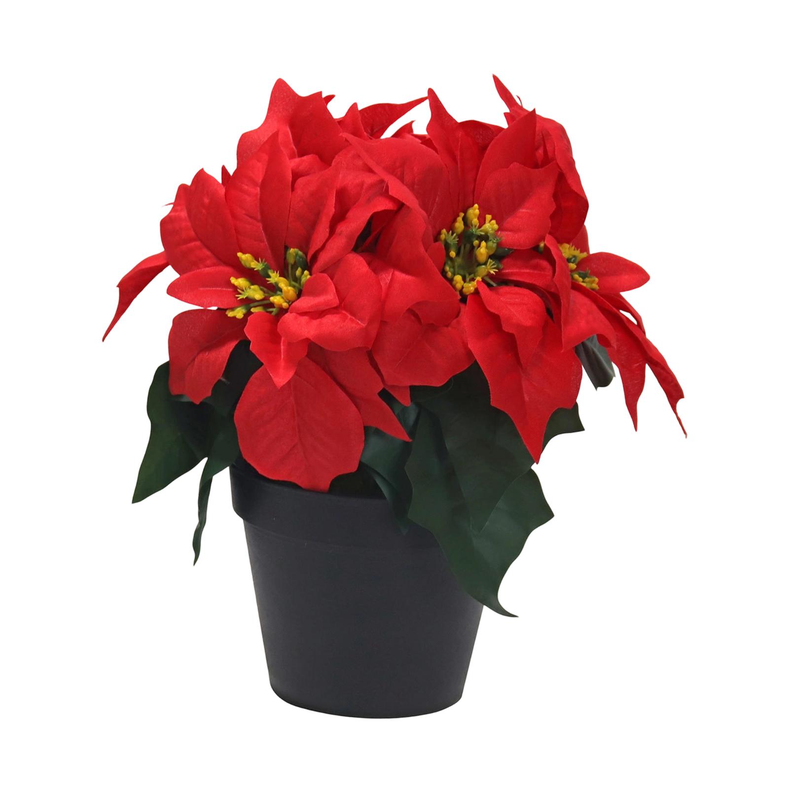 

Різдвяна Квітка В Горщику Червона Пуансеттія Різдвяний Букет Червона Весільна Квітка Інтер єр Святкова Прикраса Букет Соняшник Троянда