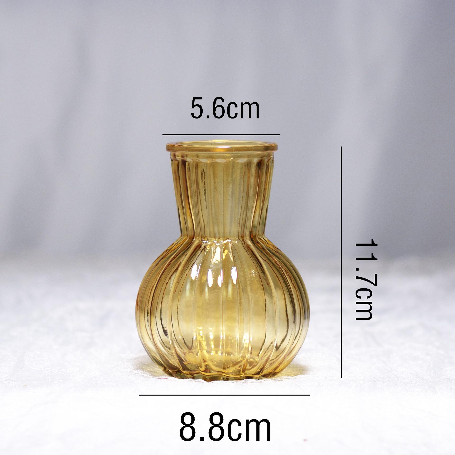 Colorful Large Mouth Glass Vase: Retro INS Style, Transparent Hydroponic Flower Vase for Living Room Decor.