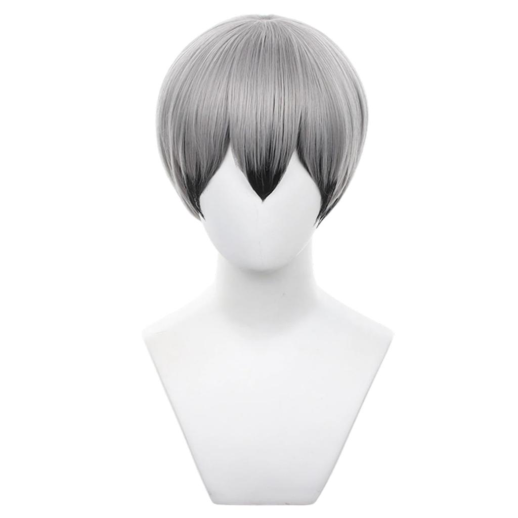 Short Anime Character Cosplay Perfect for Comic Market Cultural School and Other Includes Wig Gray/Black Wig, Accessory, Heat-Resistant Wig, Events,