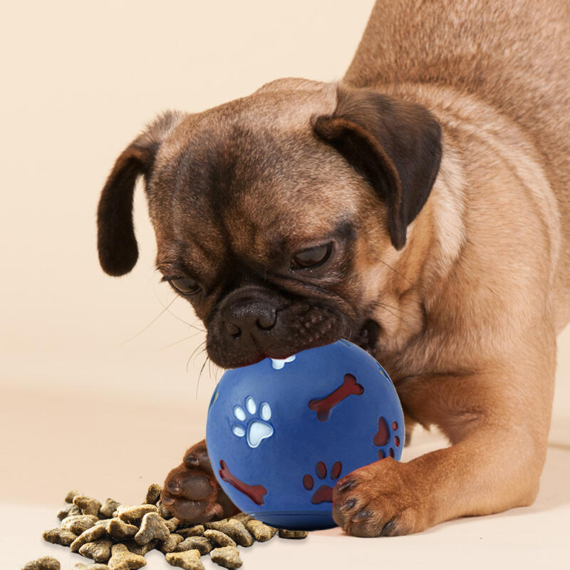 

Ju Puppy Treat Toy Ball (14cm) (Blue)