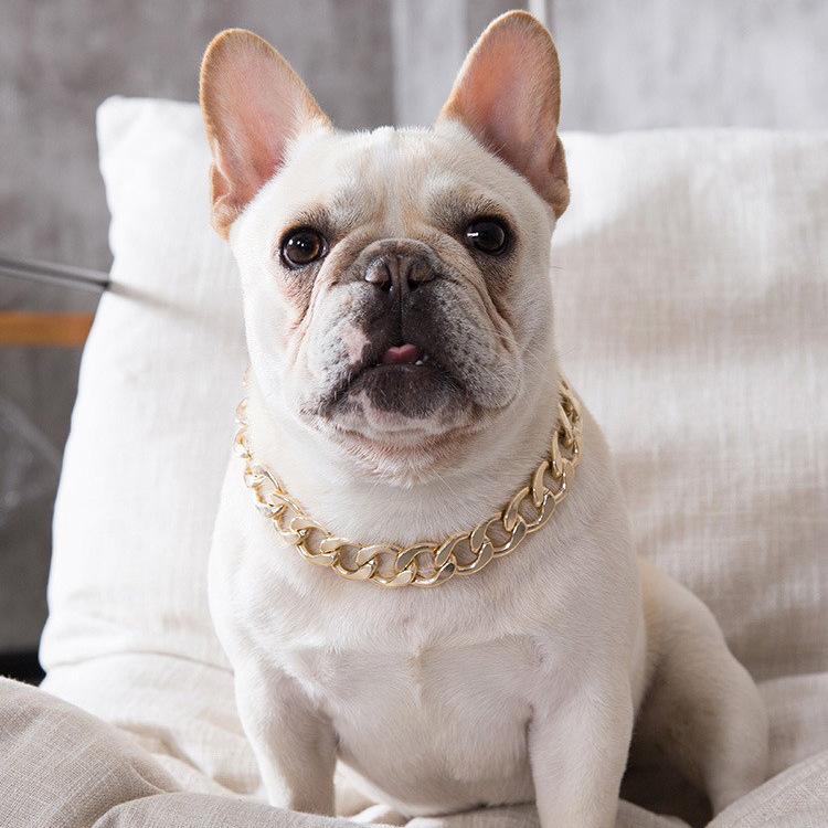 Pet Necklace with Bell for Cats and Dogs, Teddy, Pitbull, Labrador, Plastic Large Gold Chain Decoration