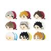 Mochimochi Mascot Haikyu!! Vol.5 BOX Product