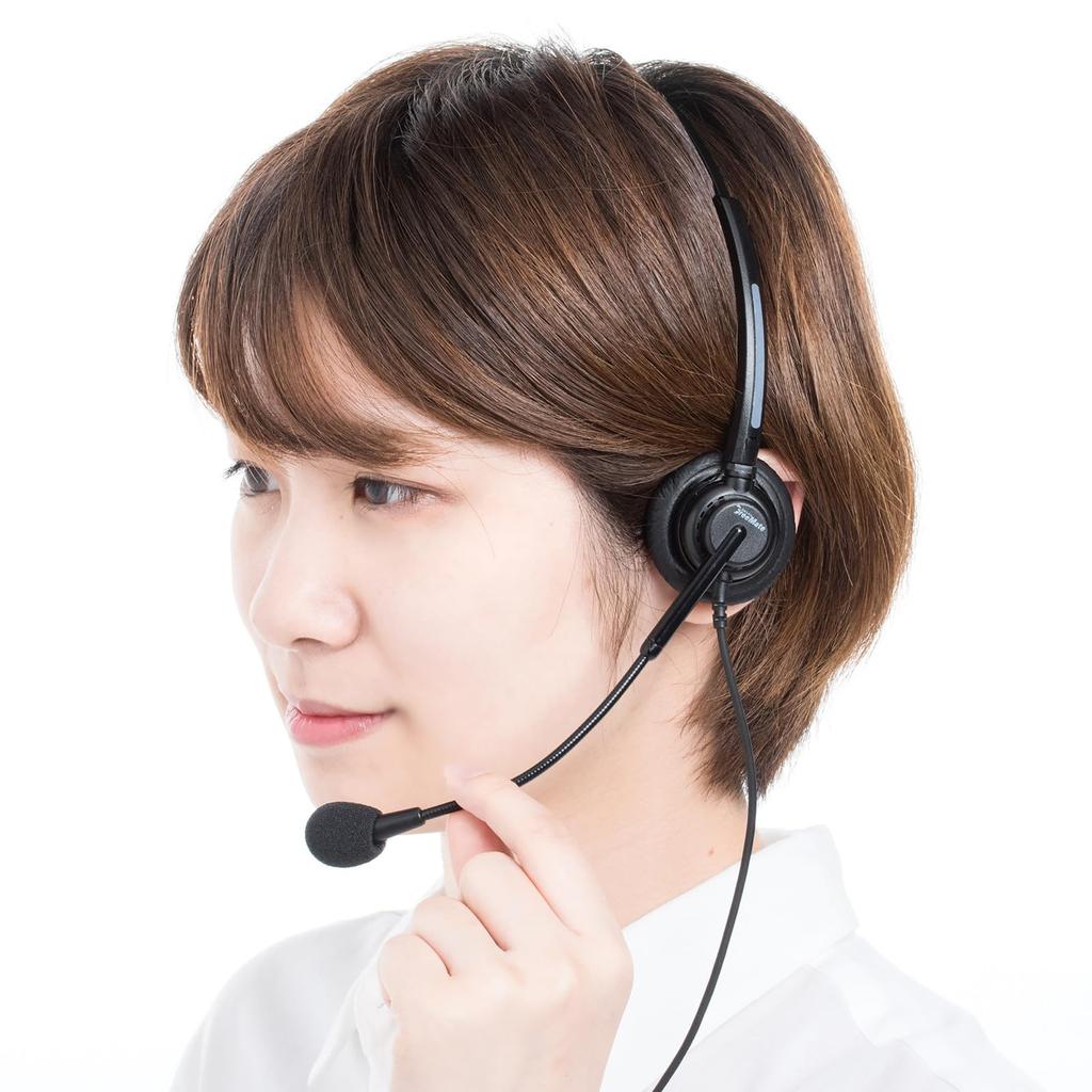 Sanwa Supply Guide System Headset (Over-the-Head Type) MM-WGS4-HS2