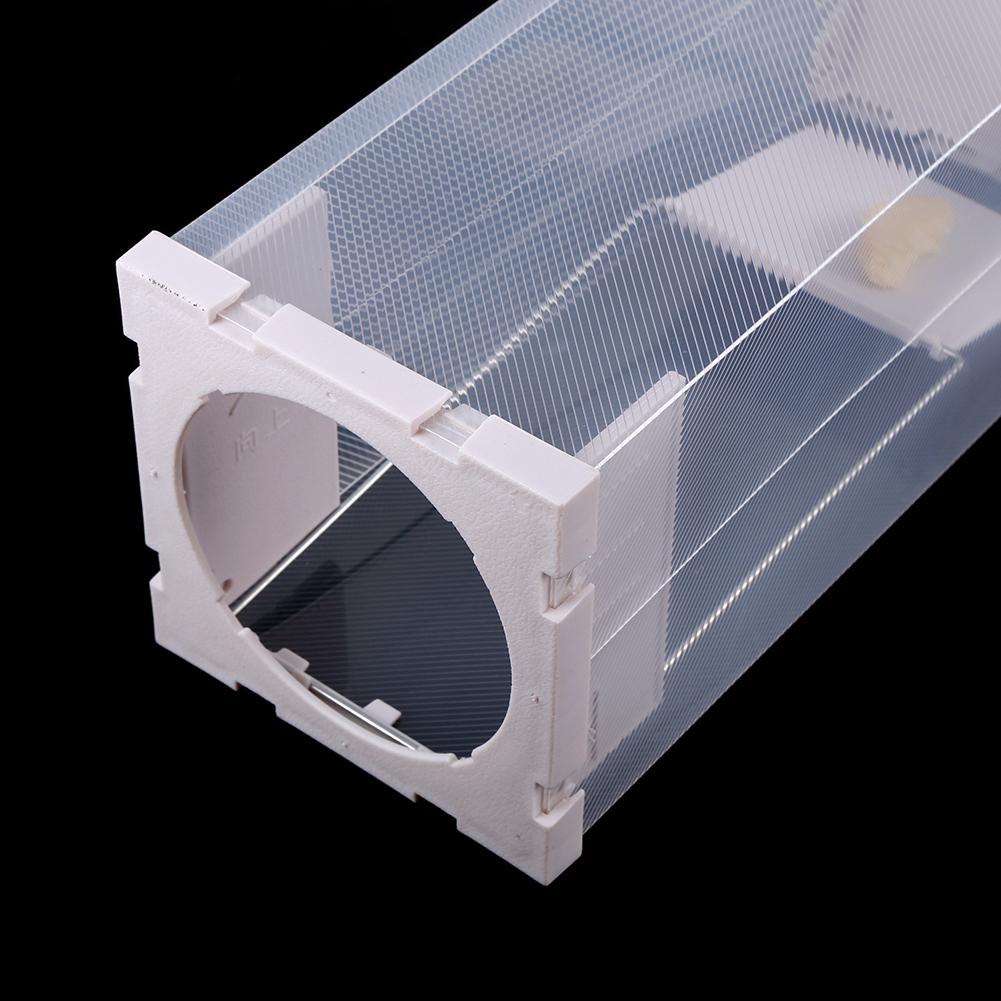 Humane Rat Trap Cage Live Animal Pest Rodent Mice Mouse Control Bait Catch