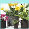 Macetas y jardineras – Bolsas para sembrar plantas