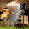 FS38 Rechargeable LED Outdoor Floodlight