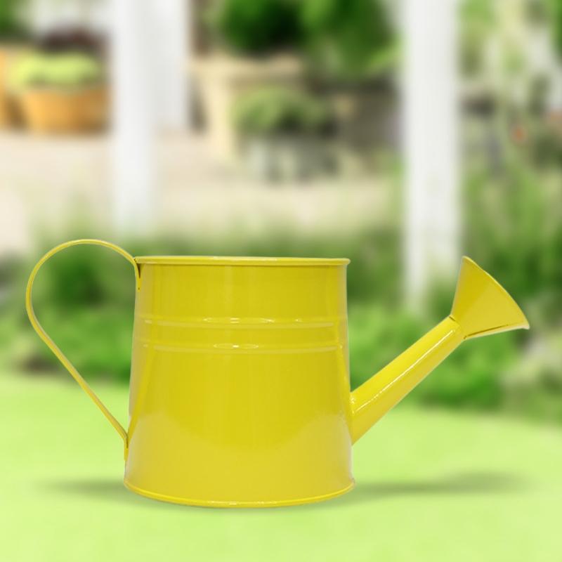 Vintage Iron Watering Can Planter Convenient Metal Container Perfect As a Flower Pots or Office Decoration