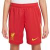 Childrens/Kids Home Football Shorts