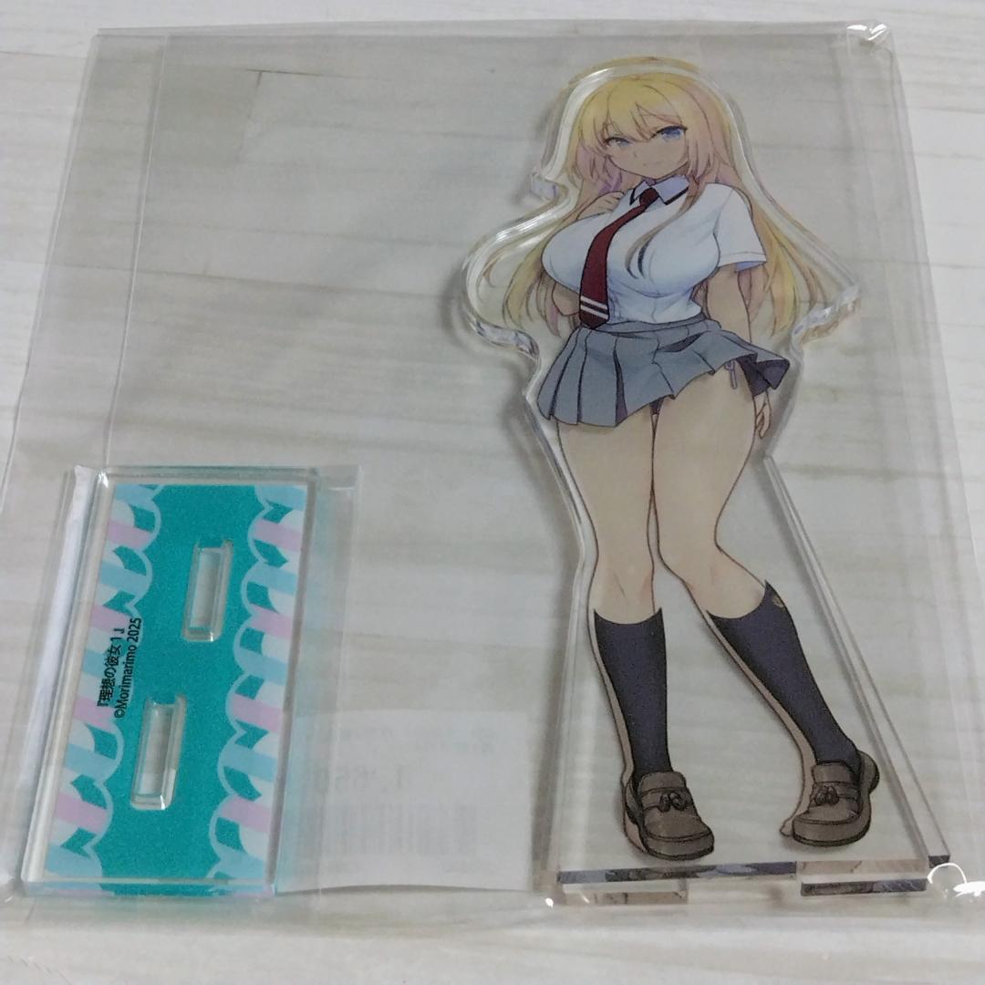 

[USED] Ideal Girlfriend 1 Gamers Limited Edition Original Dress-Up Acrylic Stand Figure