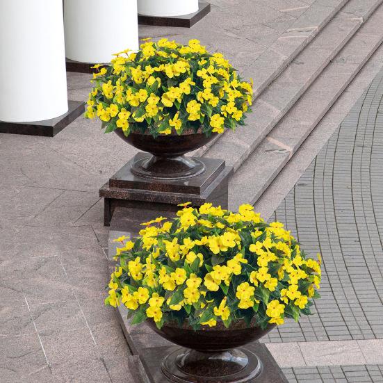 Artificial Impatiens Bunch UV Resistant Faux Flowers Low Maintenance Fake Impatiens Bouquet for Indoor Vase Planters Balcony Decorations