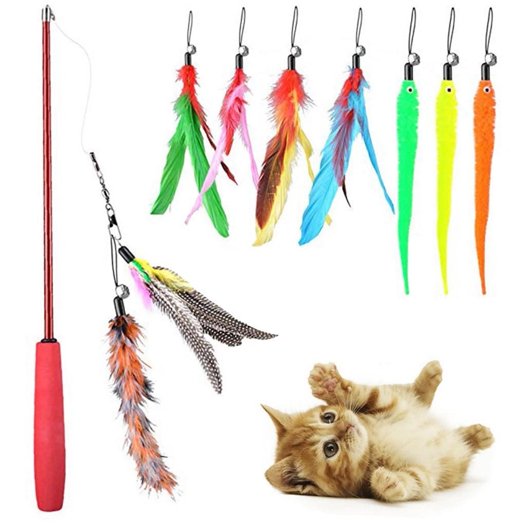 

Pet Toy Multicolor Wear-Resistant Interactive Toy Fish Set Of 10