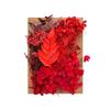 Dried Flower Material Set Dried Flower Package Flower Arranging Supplies for DIY