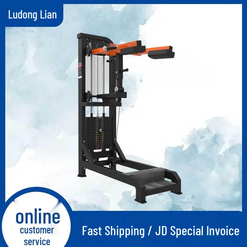 Ludonglian Strength Fitness Equipment