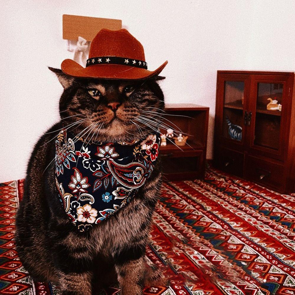 Non-woven Dog Costume Top Hat Adjustable Cat Headwear Pets Star Cowboy Hat  Pet Party