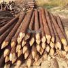 Pointed Wooden Utility Stakes (5-Pack)
