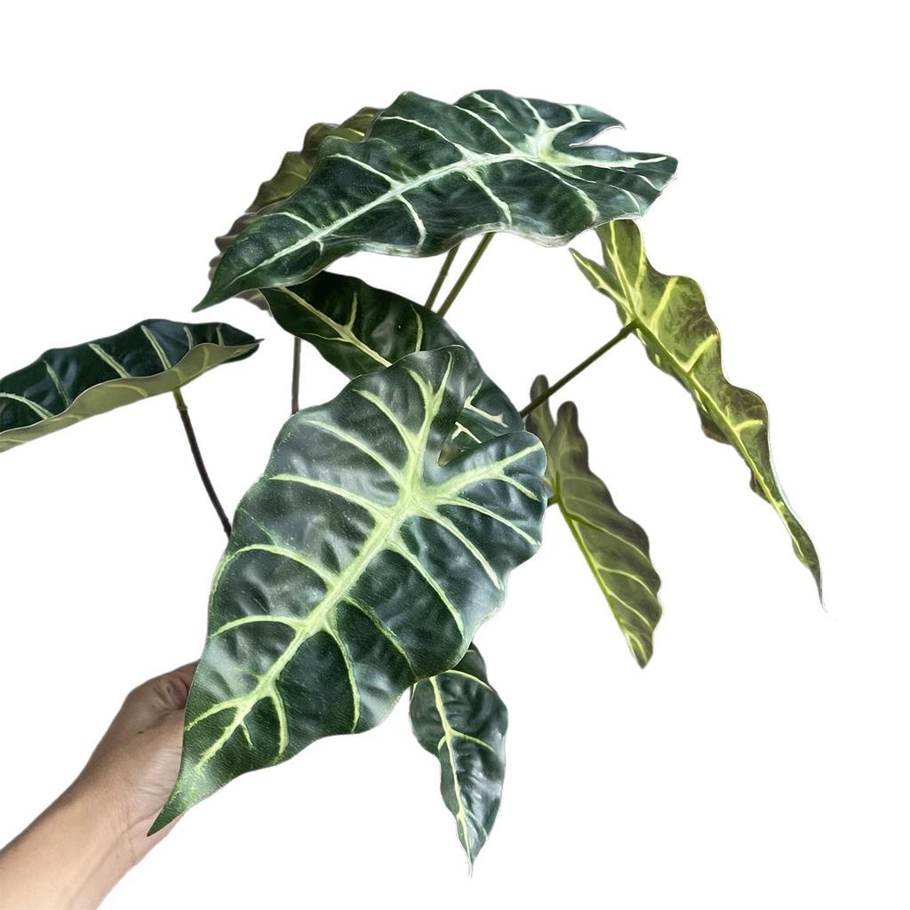 Black Peacock Philodendron Leaf - Artificial Green Plant Floral Arrangement for Home Decoration and Landscaping