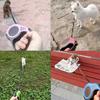3 Meter 5 Meter Einziehbare Haustier Hundeleine für Kleine Große Hunde Wandern Spazierengehen Zugseil Französische Bulldogge Chihuahua Zubehör