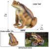Pediatric Learning Model: Plastic Animal Growth Cycles - Frog, Butterfly, Rooster, Sea Turtle, Chinese Horseshoe Crab