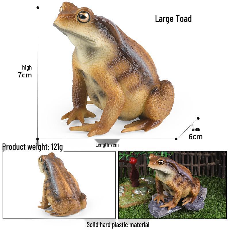 Pediatric Learning Model: Plastic Animal Growth Cycles - Frog, Butterfly, Rooster, Sea Turtle, Chinese Horseshoe Crab