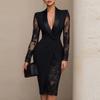 Solid Color Lace Patchwork Long Sleeve Turn-Down Collar Casual Work Commute Waist Fitting Suit Dress