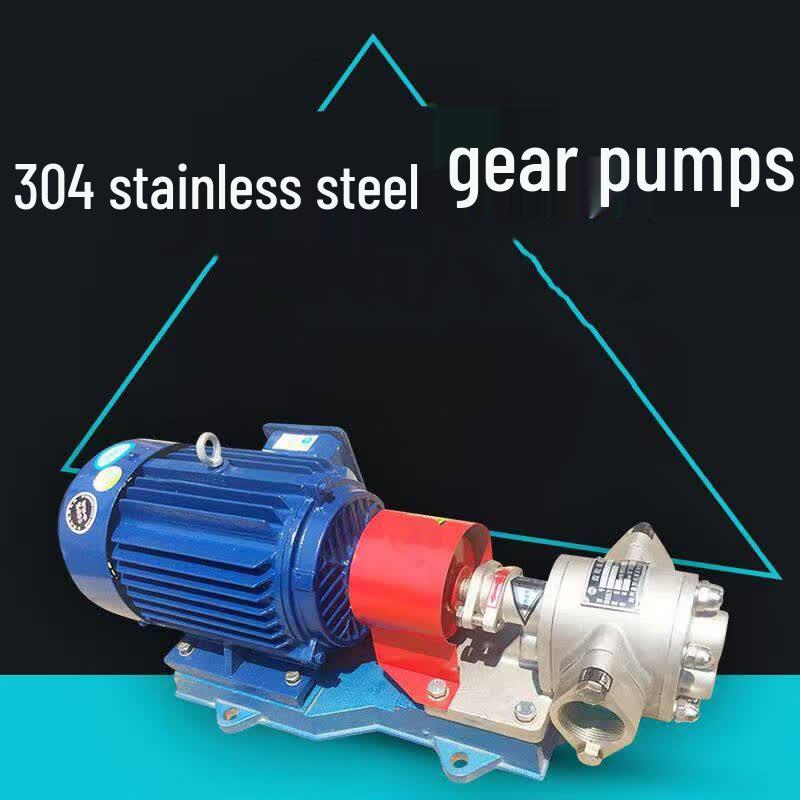 Jingrong 304 Stainless Steel Gear Oil Pump with Motor