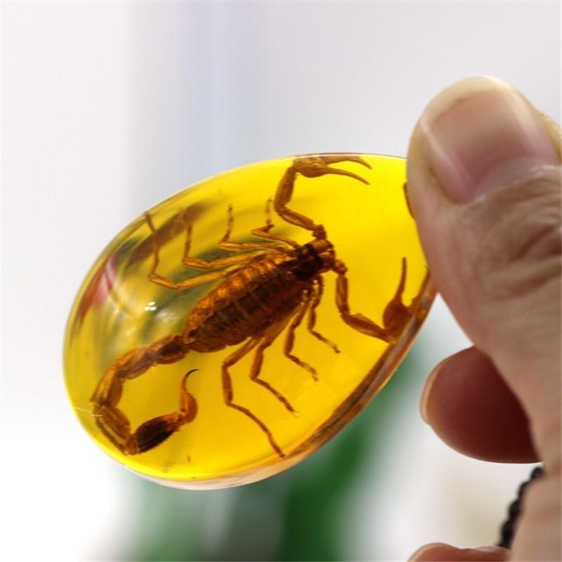 Insect Stone Natural Scorpions Inclusion Genuine Amber Baltic Pendant Necklace