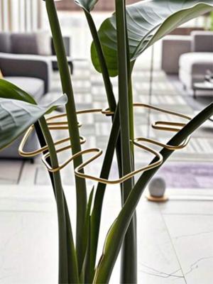Durable Plant Support Cage Includes Monstera Clip Set, Ideal For Promoting Healthy Plant Growth; Durable Monstera Plant Trellis & Support