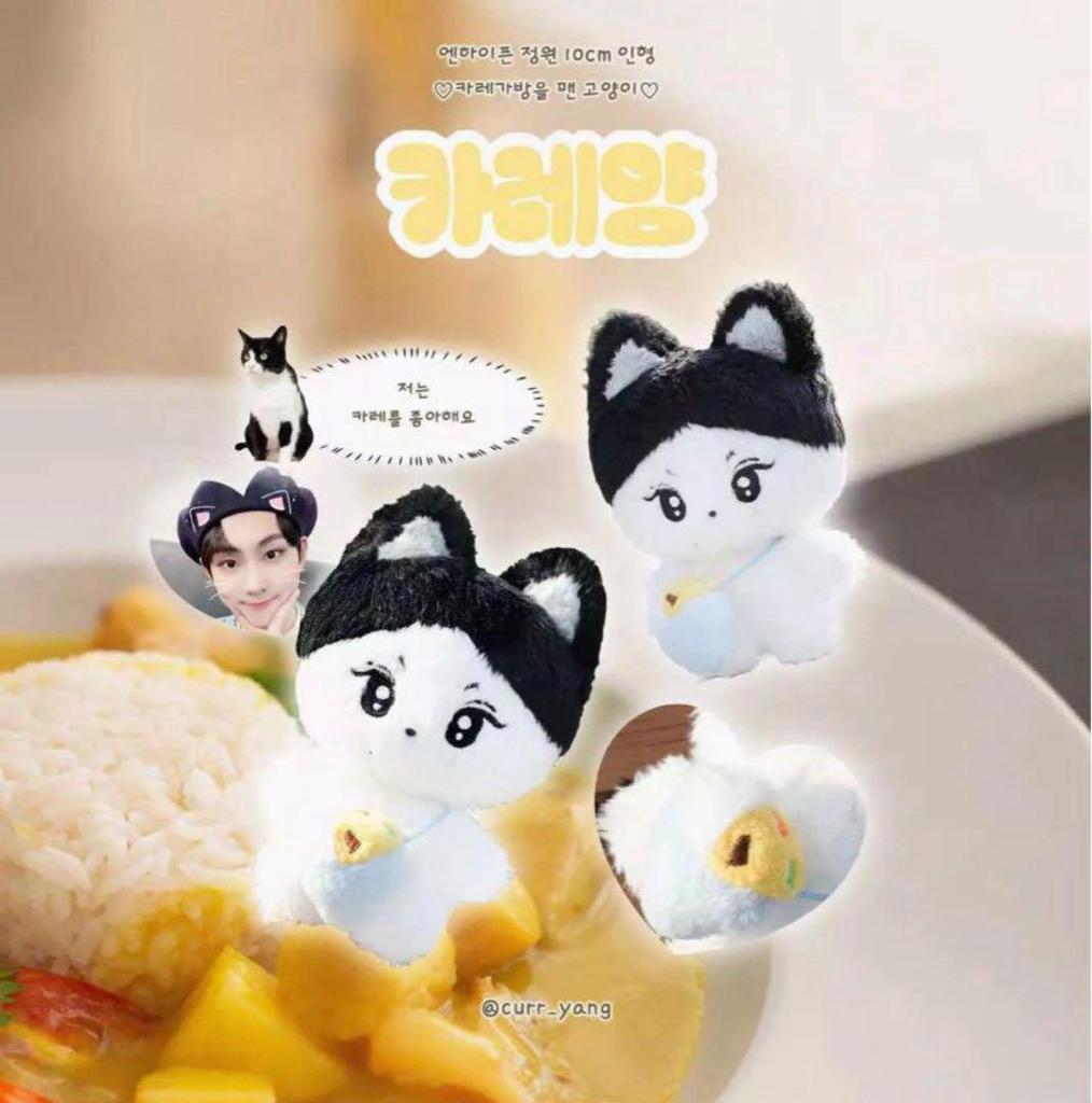 [USED] ENHYPEN Jungwon Doll Curry Yang 10cm