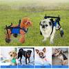 Pet Wheelchair: Rehabilitation Walking Aid & Booster Scooter for Dogs