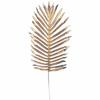 Golden Cycas Leaf for Floral Arrangements 35x20 Cm