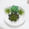 MUCKLILY Galanta Pot, Clear, Succulent Pot, Tabletop, Small Planter, 9.5cm, Indoor Decor, Clear Glass Container, Can Also Be Used As a Goldfish Bowl