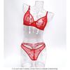 French Ultra Thin Women Underwear Set Sexy Flocking Push Up Bra Summer Ladies 6 Color Mesh Breathable Lingerie and Thong Sets