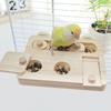 Training Function Parrot Feeding Tray Hanging Pet Food Seek Toy  for Small Pet