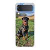 Transparent Phone Case For Samsung Galaxy Z Flip 3 4 5 6 7 Hard Folding PC Z Flip3 Flip4 Cover Rottweiler Dog