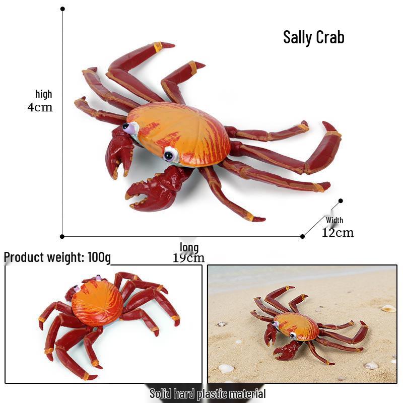Ocean Crab Simulation Toy Set: Includes Hermit, Swimming, and Three-Spot Plastic Models