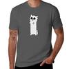 Gojo Cat Tshirt Big Size Crew Neck Tshirt