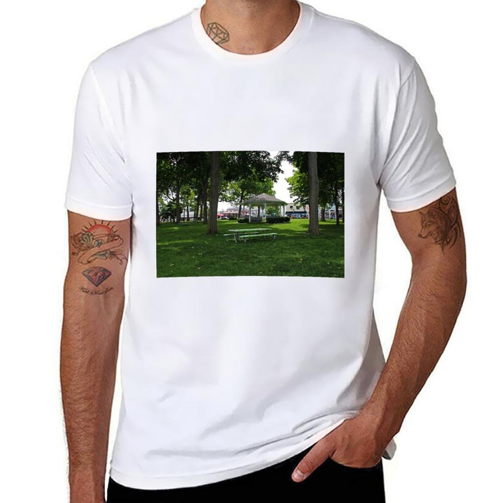 Derivera Park At Putinbay Tshirt Fashion Graphic Tee For Unisex