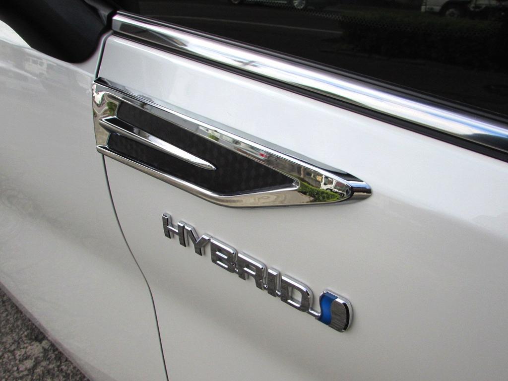 BRIGHTZ Vellfire 30 35 Chrome Fender Garnish Carbon Style AGH30W AGH30W GGH30W GGH35W AGH GGH AGH30 GGH30 GGH35 H30 H35 Vellfire Vellfire Vellfire