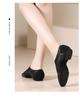 Pantofi de dans Jazz și Balet din Material Elastic pentru Copii și Adulți - Ideali pentru Dans Latin, Practică și Majorete.