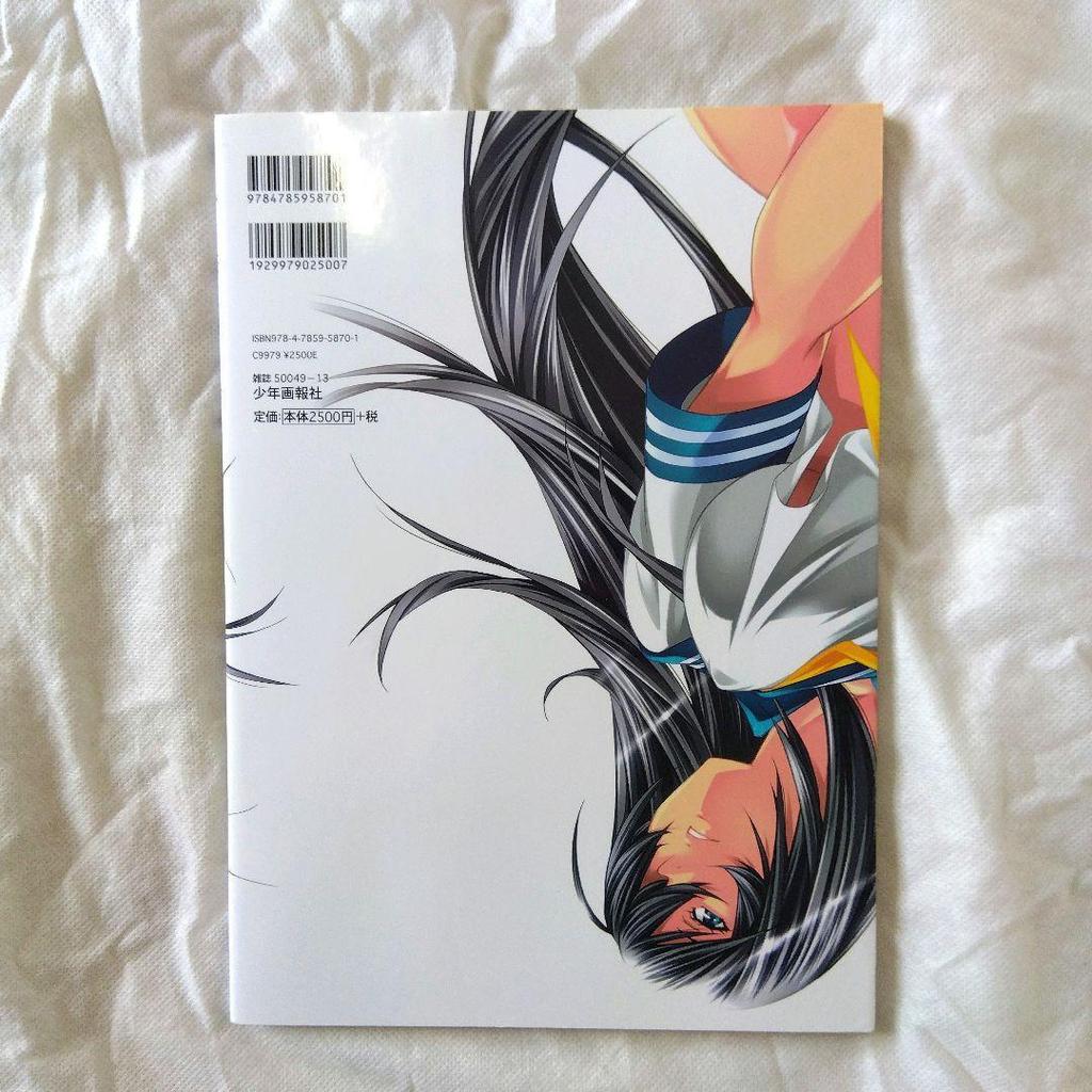[USED] Anonymous Shipping Ikki Tousen Master Works Yuji Shiozaki Art Book Setting Material Collection First Edition