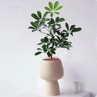 Decorazioni per la casa – Vasi