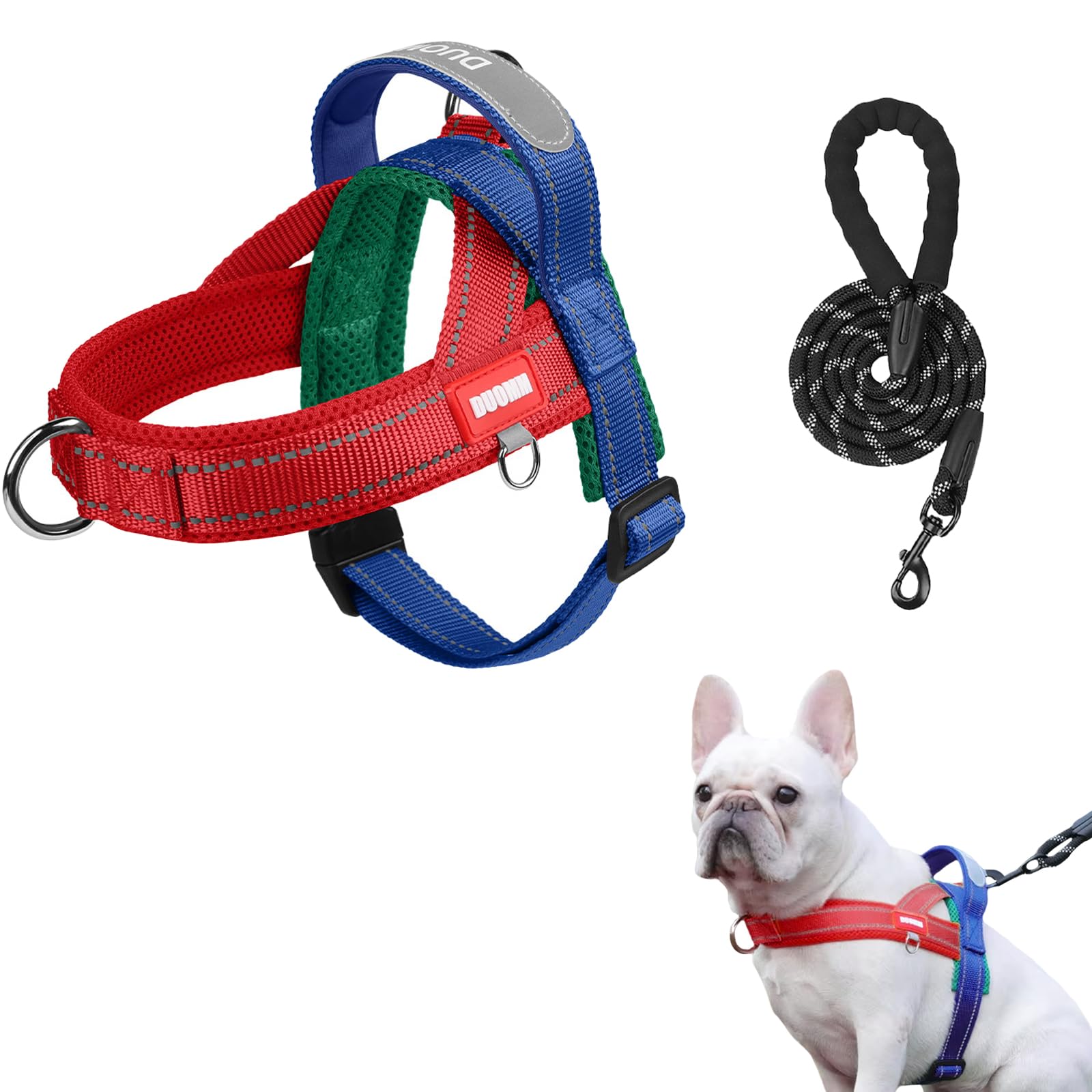 

Charming Club Dog and Collar for Extra Small Dogs Walking Gentle on the Size S Suitable for Small and Cats with Reflective Strips Harness, Leash, -