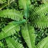 Grass Wall Artificial Plant Wall Panels 60*40cm (9pcs) Privacy Hedge Fence Screen with UV Protection Greenery Backdrop
