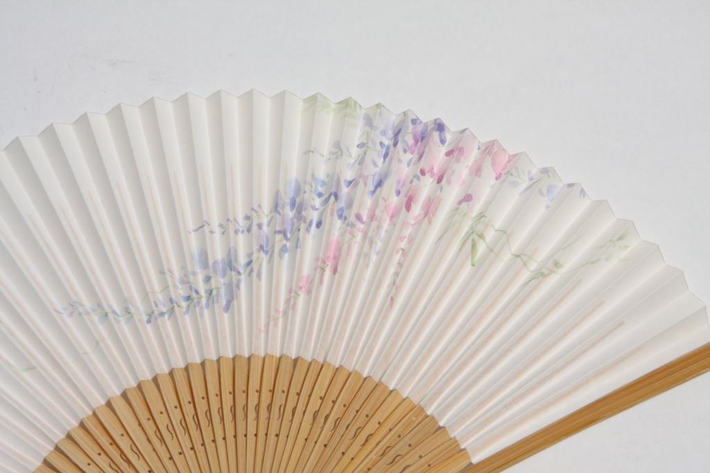 Hasegawa Women's Folding Fan with Pouch and Presentation Box, Made In Japan (Wisteria Flower Design)