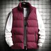 Autumn and winter men's down cotton vest Korean version of trendy vest men's loose winter handsome thickened outer vest jacket